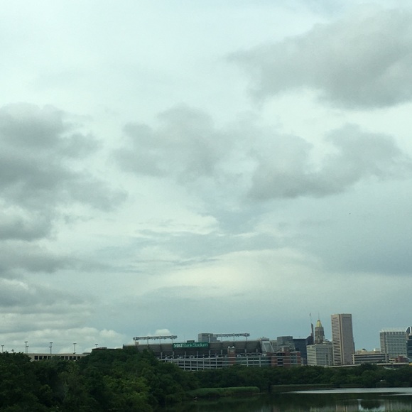 Meet your Posher, Bri - Picture 1 of 1